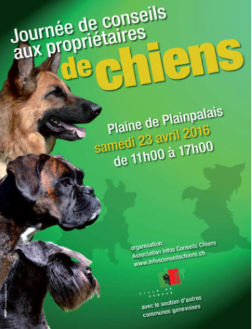 Info-Conseils-Chien-2016.png